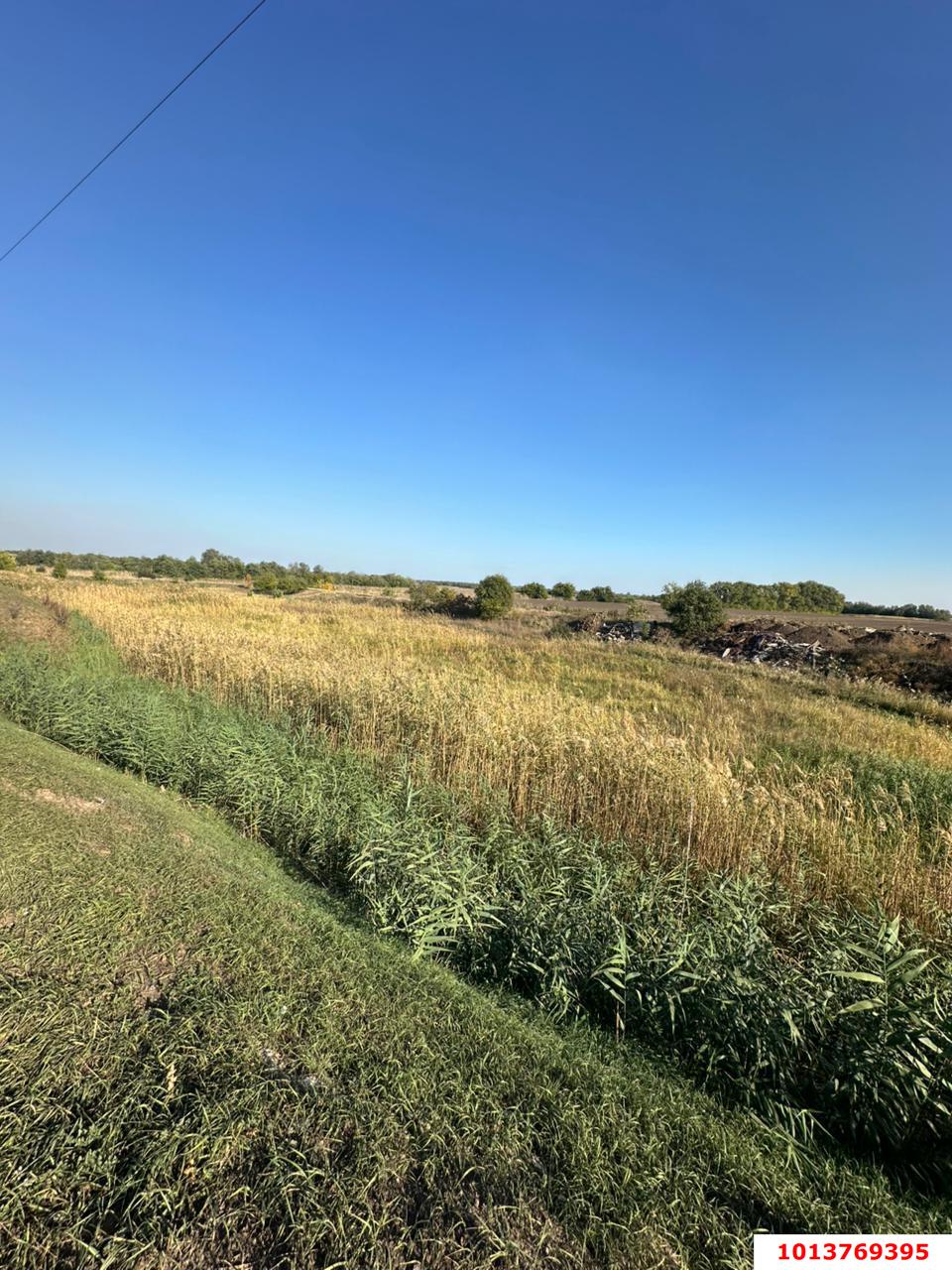 Фото №1: Коммерция 2314 м² - Медвёдовская, Карасунский внутригородской округ, Хлопчато-бумажный Комбинат, мкр. жилой комплекс Гранд Пэлэс, ул. Новая, 1