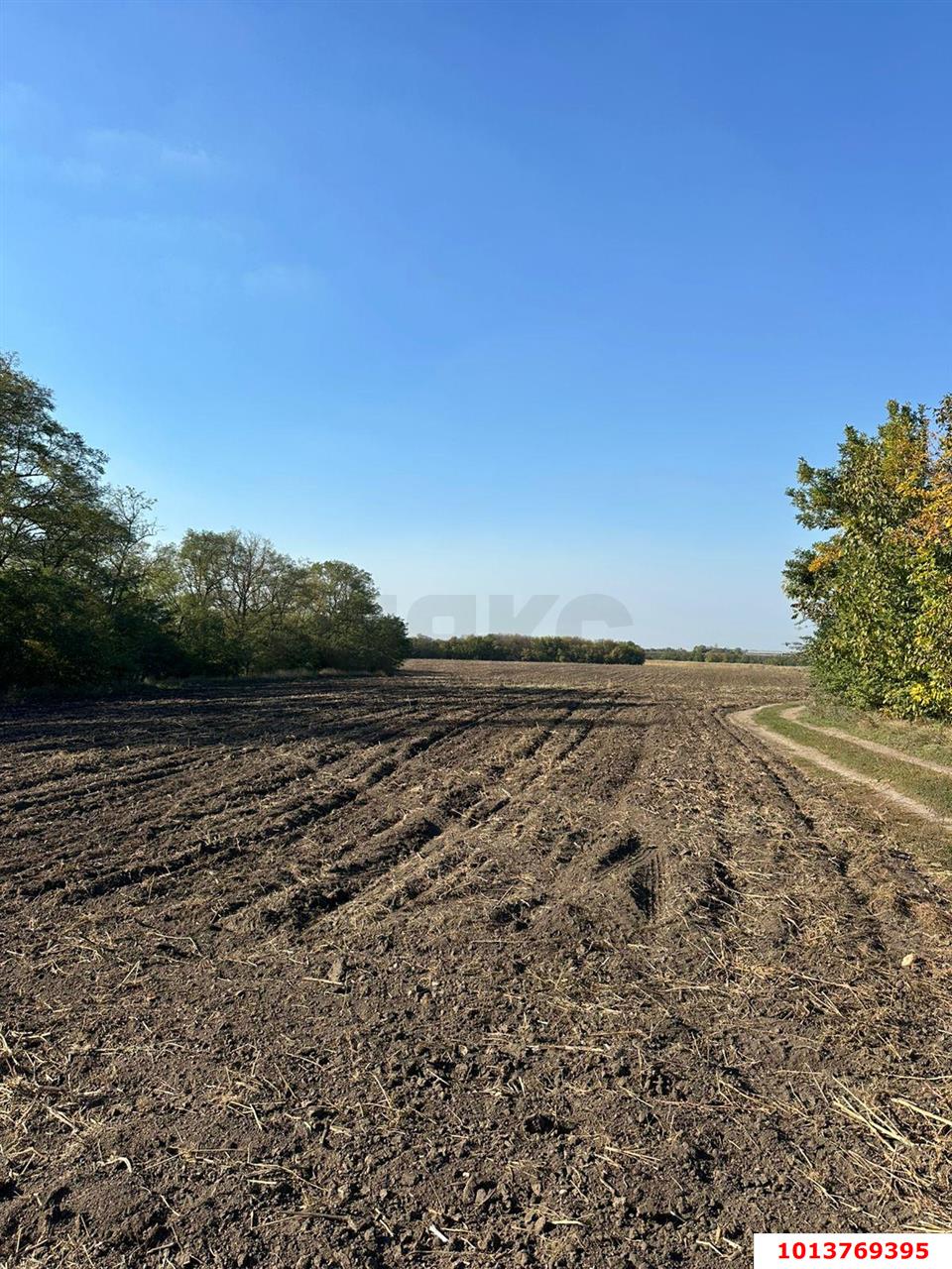 Фото №3: Коммерция 2314 м² - Медвёдовская, Карасунский внутригородской округ, Хлопчато-бумажный Комбинат, мкр. жилой комплекс Гранд Пэлэс, ул. Новая, 1