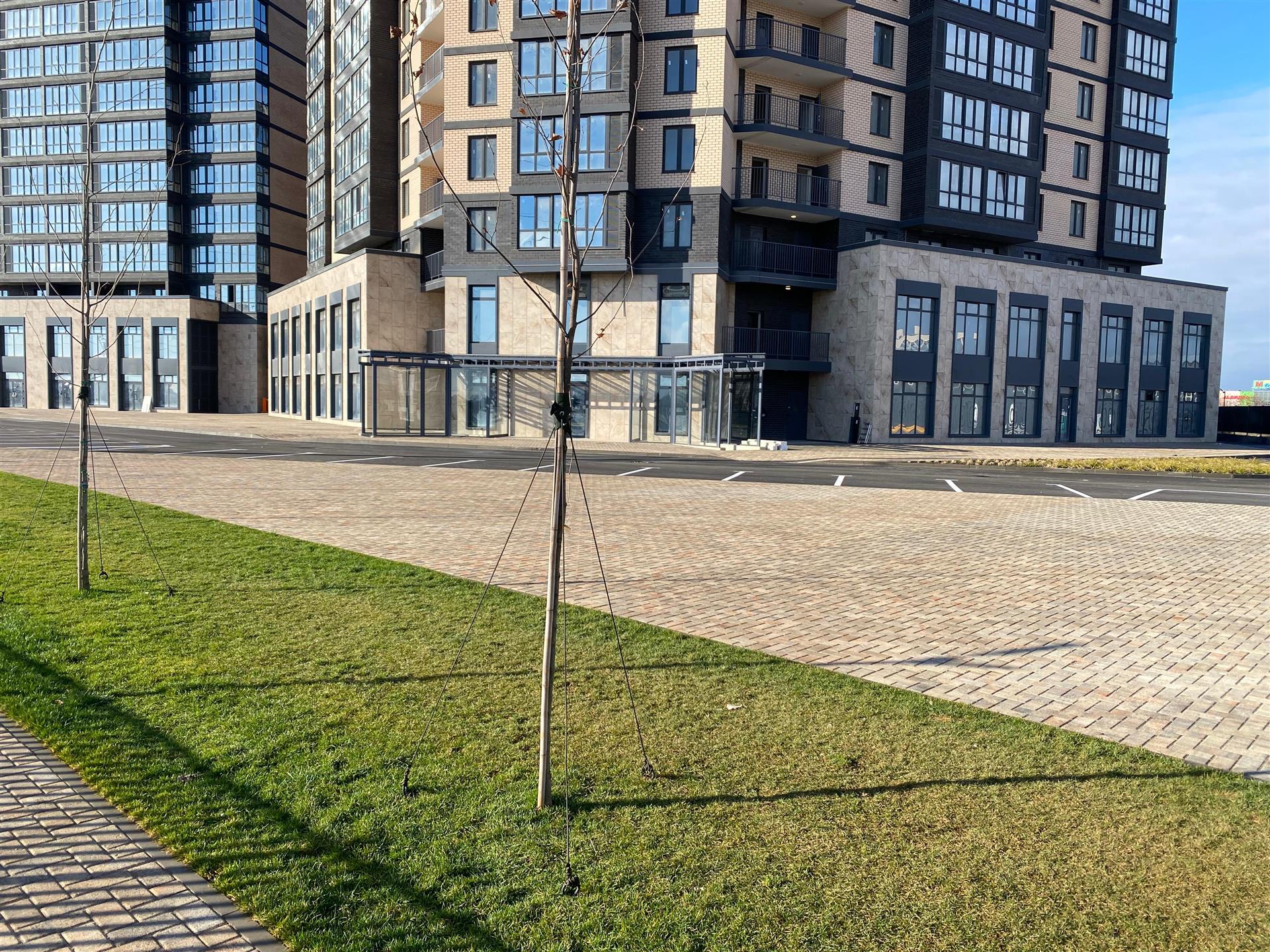 Фото №4: Коммерция 222 м² - Яблоновский, мкр. жилой комплекс Вектор, ул. Базовская, 21