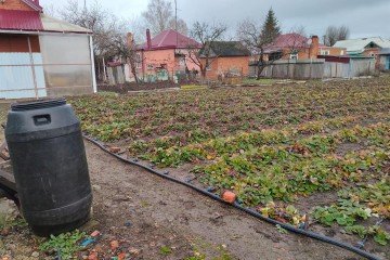 Фото №2: Земельный участок под ИЖС 24 сот. - Кореновск, мкр. 1-й квартал, ул. Октябрьская, 31