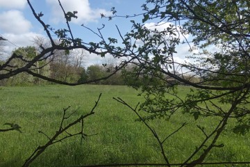 Фото №3: Земельный участок под ИЖС 35.5 сот. - Афипсип, ул. Степная, 1