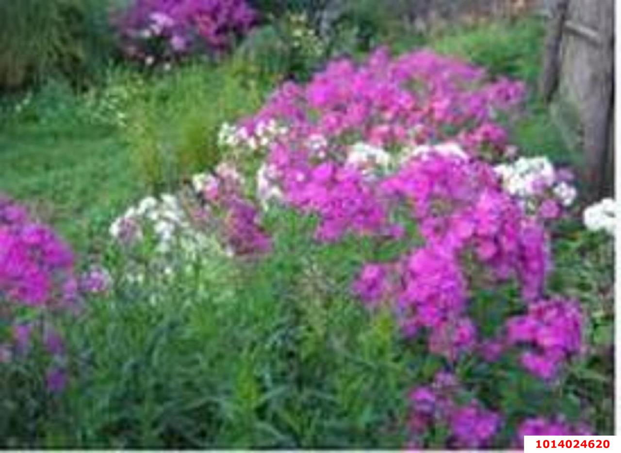 Фото №10: 1-комнатная квартира 36 м² - Энем, ул. Маяковского, 9