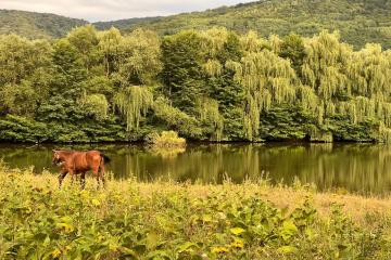 Фото №1: Коммерция 9 м² - Даховская, мкр. Светлоград, ул. Советская, 20