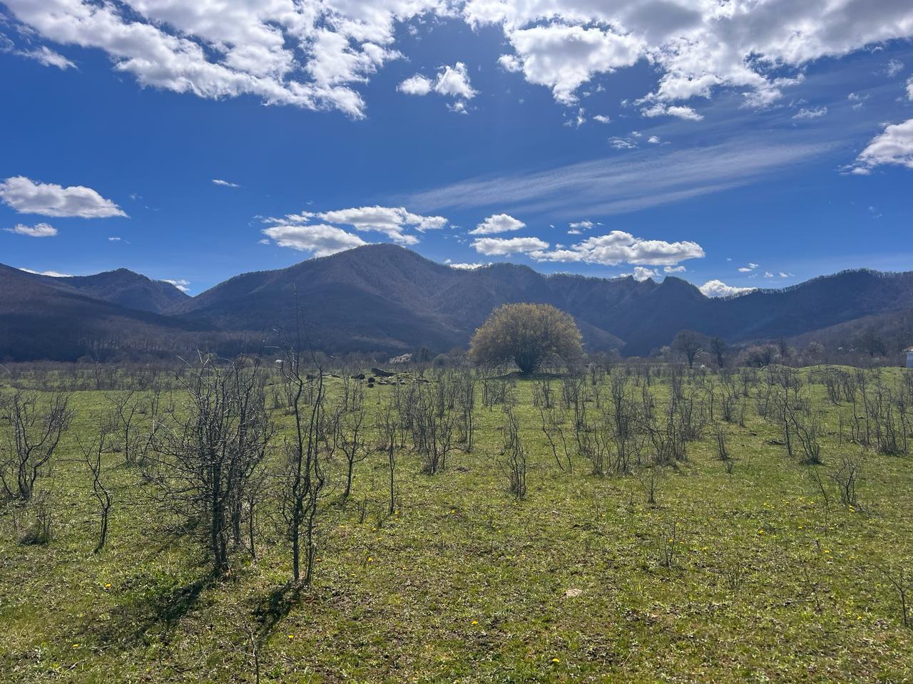 Фото №10: Коммерция 9 м² - Даховская, Прикубанский внутригородской округ, жилой комплекс Западный Город, Восточный, Западный внутригородской округ, Фестивальный, Карасунский внутригородской округ, Гидростроителей, Славянский, мкр. Светлоград, ул. Советская, 20