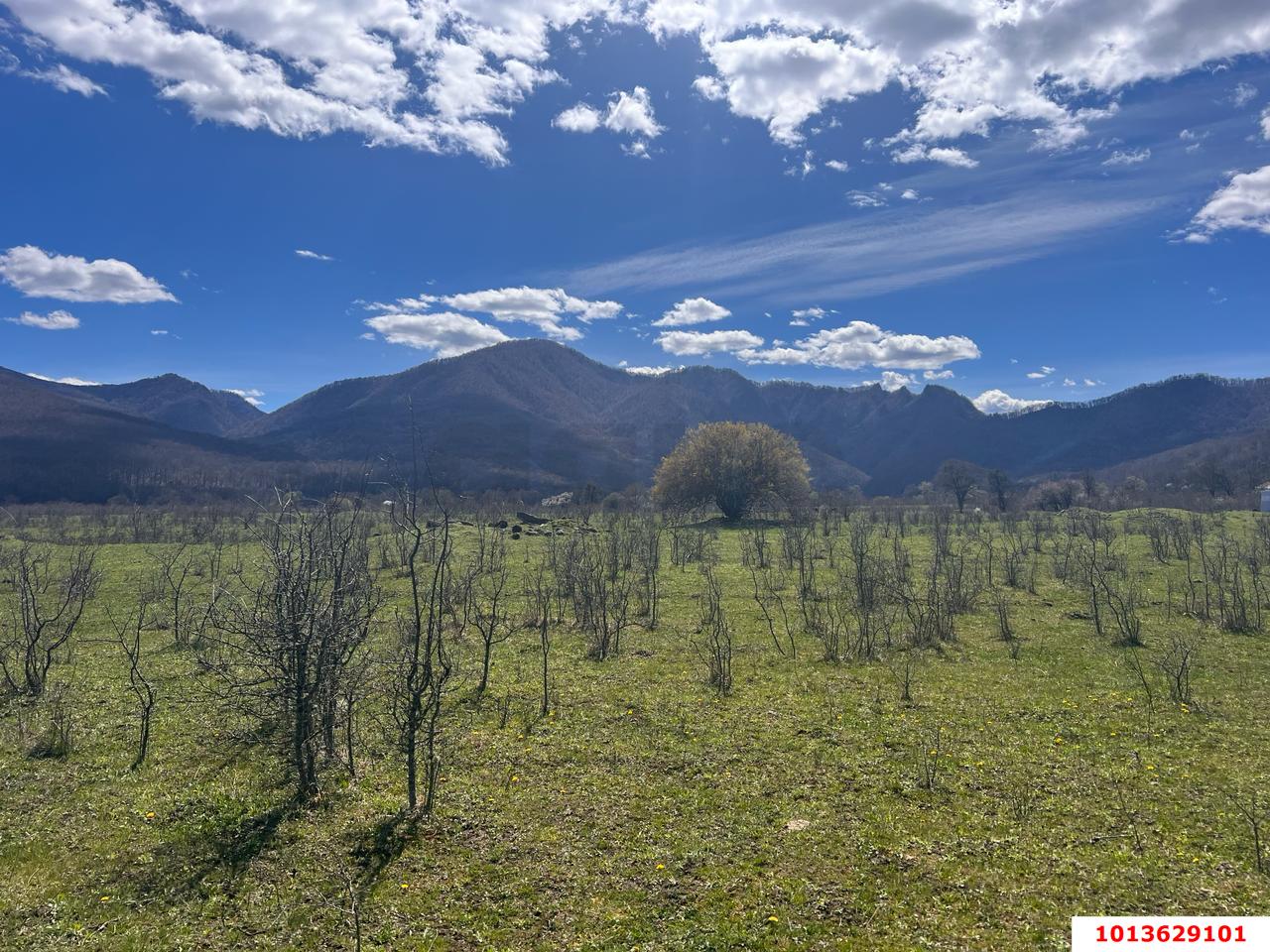 Фото №10: Коммерческая земля 10 сот. - Даховская, ул. Советская, 20