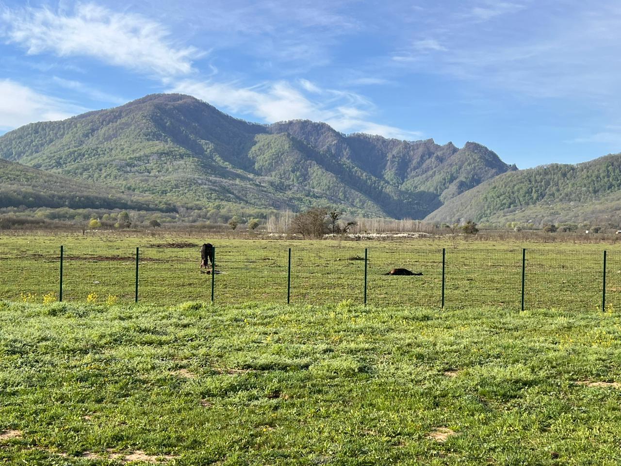Фото №14: Коммерция 9 м² - Даховская, Прикубанский внутригородской округ, жилой комплекс Западный Город, Восточный, Западный внутригородской округ, Фестивальный, Карасунский внутригородской округ, Гидростроителей, Славянский, мкр. Светлоград, ул. Советская, 20