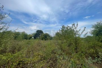 Фото №2: Коммерция 25 м² - Афипсип, мкр. жилой комплекс Нeo-квартал Красная Площадь, ул. Новая, 17