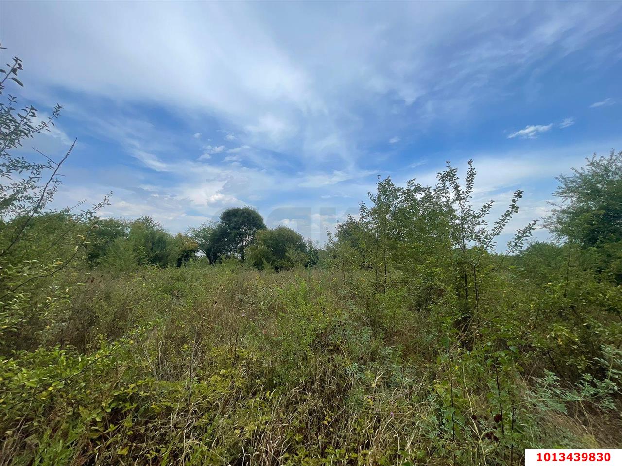 Фото №2: Коммерция 25 м² - Афипсип, Прикубанский внутригородской округ, мкр. жилой комплекс Нeo-квартал Красная Площадь, ул. Новая, 17