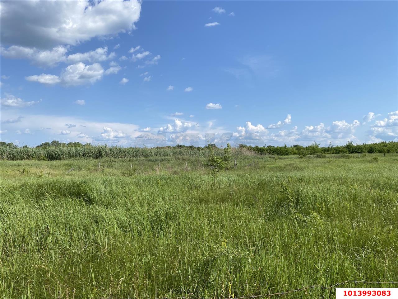 Фото №8: Коммерческая земля 318 сот. - Суздальская, пер. Западный, 2