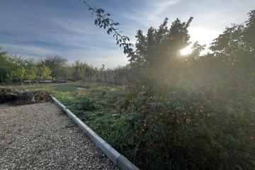 Фото №5: Земельный участок 8 сот. - Янтарь, мкр. Карасунский внутригородской округ, ул. Урожайная, 104