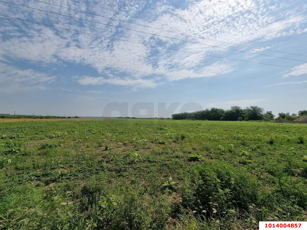 Фото №1: Коммерческая земля 6 сот. - Краснодар, Прикубанский внутригородской округ