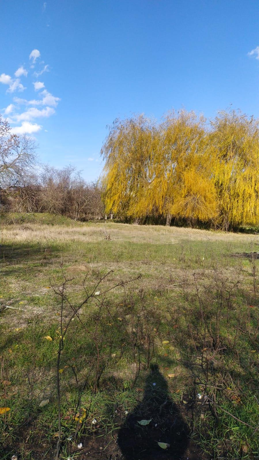 Фото №11: Земельный участок 15.87 сот. - Гавердовский, Краевая Клиническая Больница, Прикубанский внутригородской округ, Восточно-Кругликовский, мкр. жилой комплекс Андерсен, ул. Советская, 35