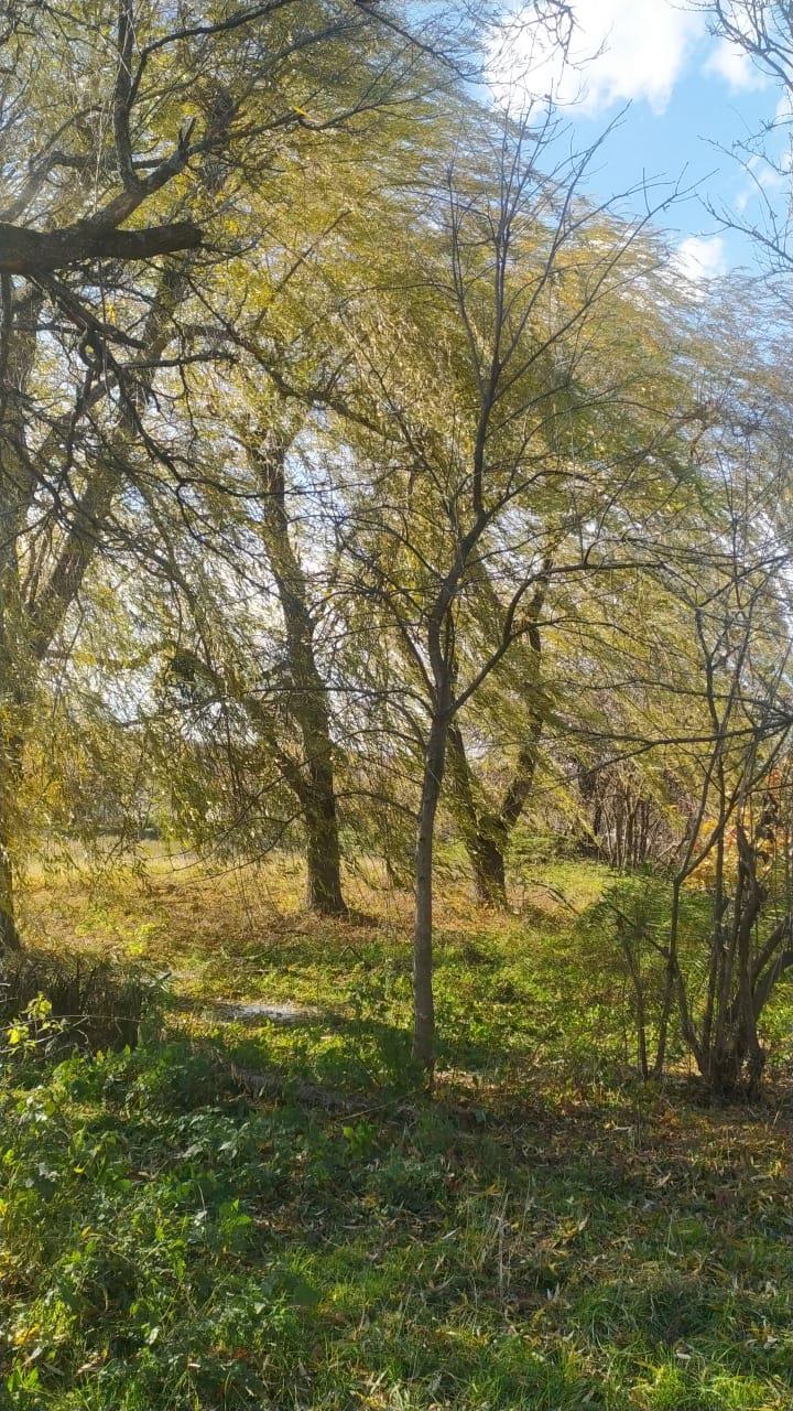 Фото №8: Земельный участок 15.87 сот. - Гавердовский, Краевая Клиническая Больница, Прикубанский внутригородской округ, Восточно-Кругликовский, мкр. жилой комплекс Андерсен, ул. Советская, 35