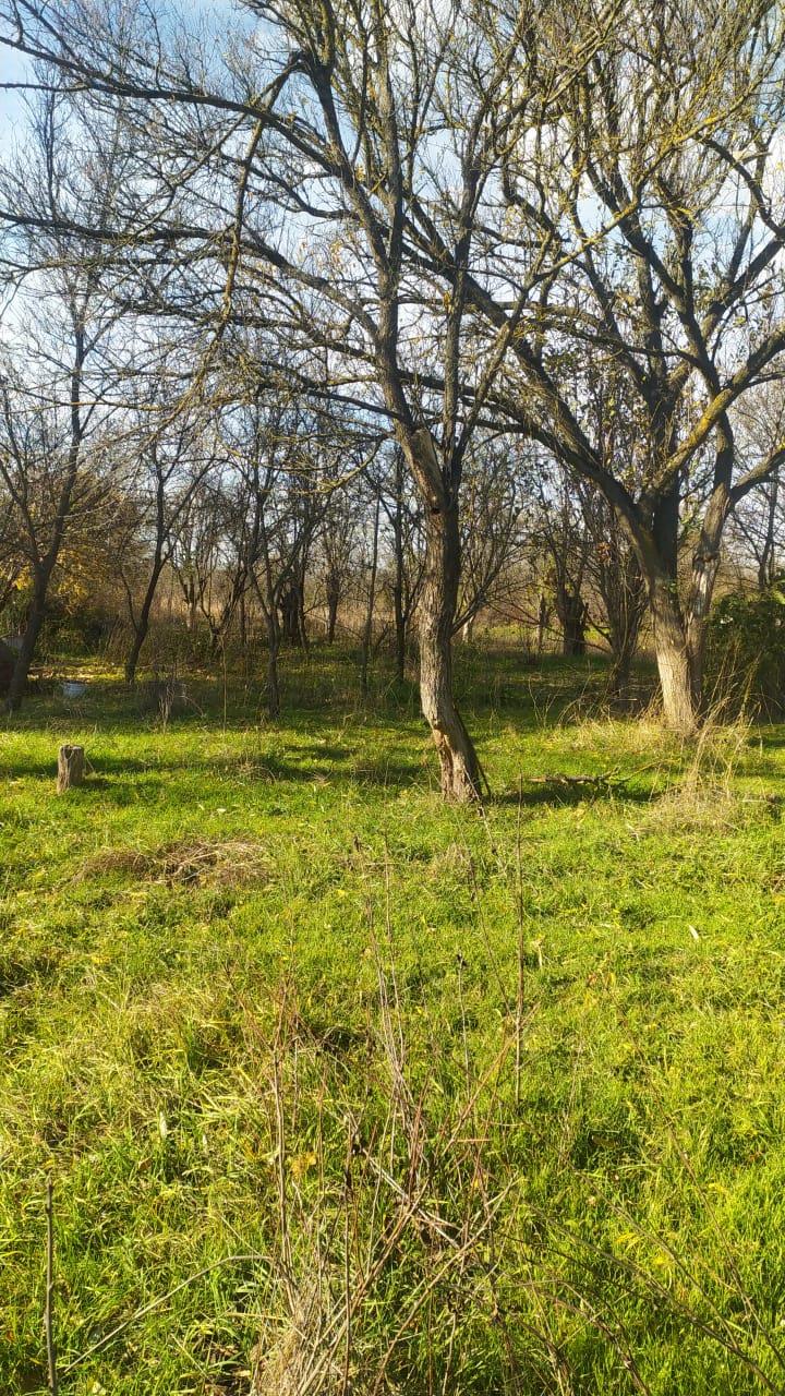 Фото №9: Земельный участок 15.87 сот. - Гавердовский, Краевая Клиническая Больница, Прикубанский внутригородской округ, Восточно-Кругликовский, мкр. жилой комплекс Андерсен, ул. Советская, 35