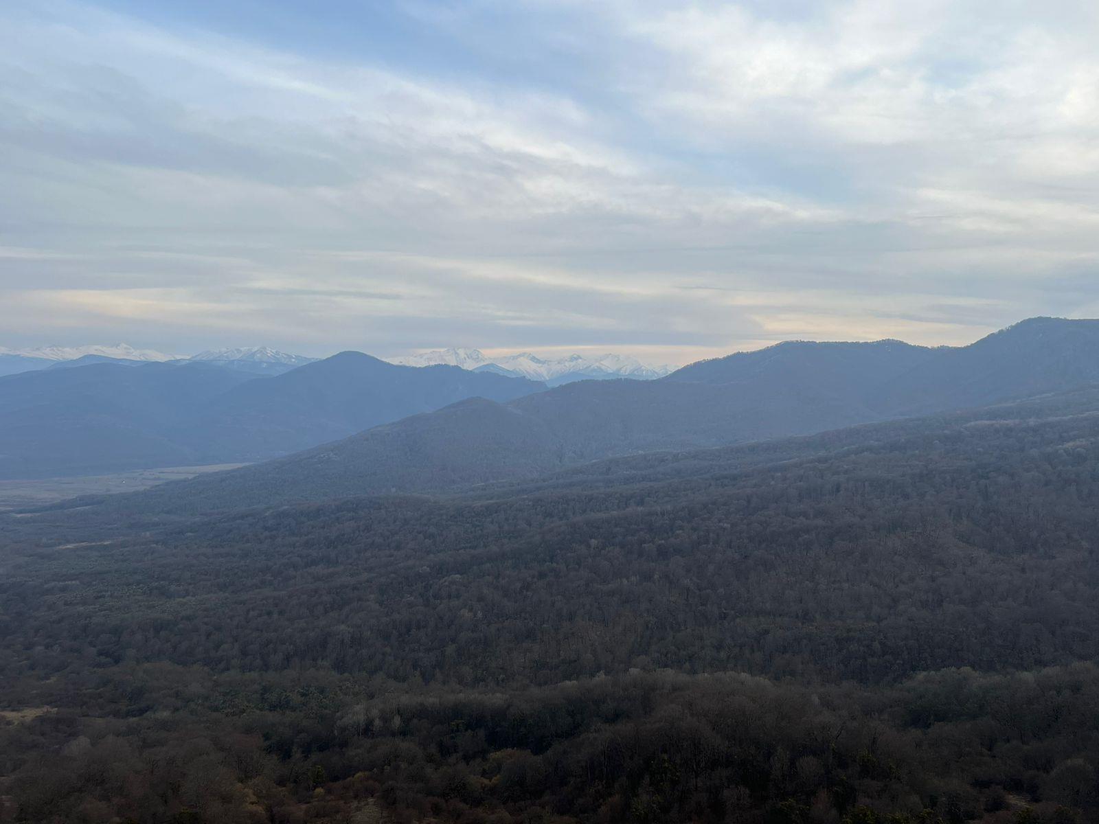 Фото №1: Коммерция 49 м² - Даховская, мкр. Карасунский внутригородской округ, ул. Мира, 18
