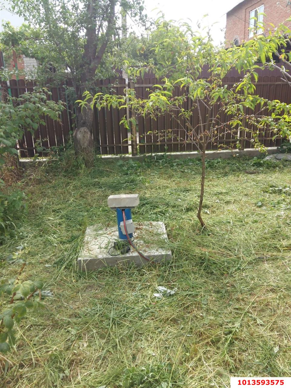 Фото №13: Дом 53 м² + 4.05 сот. - Ленина, ул. Цветочная, 208