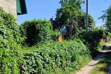 Фото №1: Участок садоводство 6.26 сот. - Сад Кубани, мкр. Прикубанский внутригородской округ, ул. Ягодная