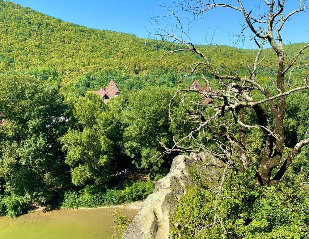 Фото №6: Земельный участок 6.06 сот. - Безымянное, ул. Таманская, 39