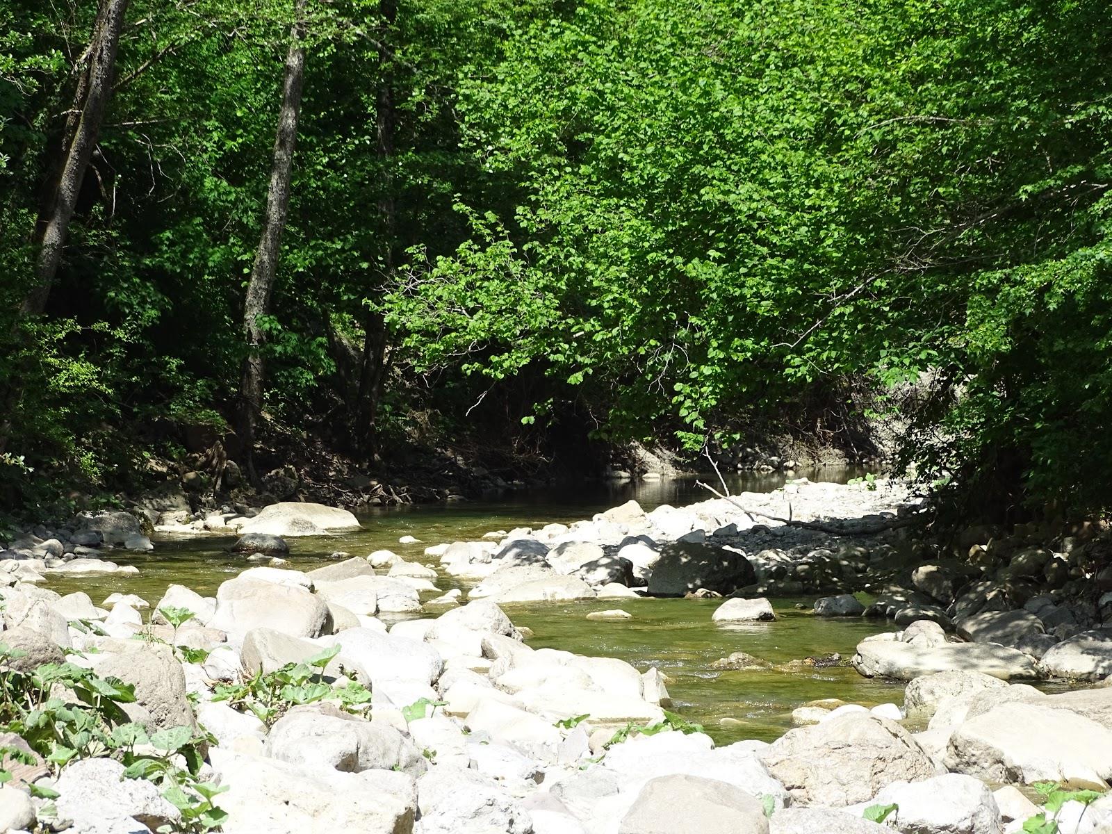 Фото №7: Земельный участок 6.06 сот. - Безымянное, ул. Таманская, 39