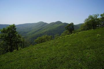 Фото №2: Земельный участок 6.06 сот. - Безымянное, ул. Таманская, 39