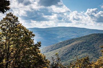 Фото №1: Земельный участок 8.34 сот. - Безымянное, ул. Таманская, 39