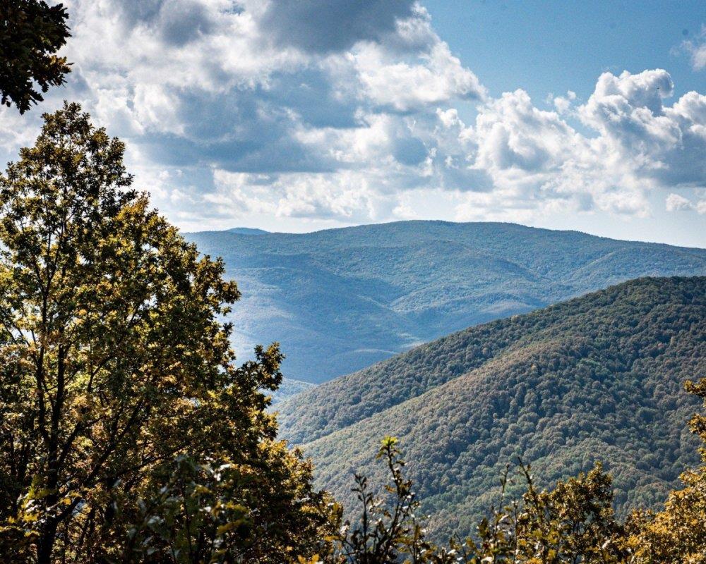 Фото №1: Земельный участок 8.34 сот. - Безымянное, ул. Таманская, 39