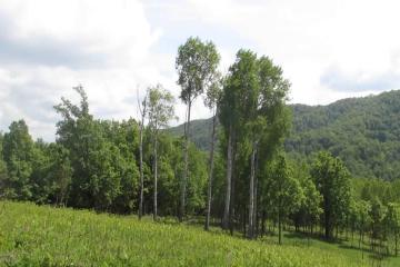 Фото №2: Земельный участок 8.34 сот. - Безымянное, ул. Таманская, 39