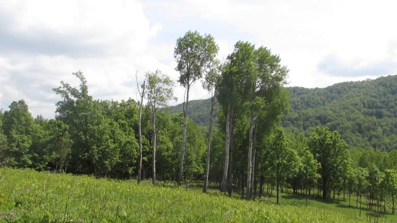 Фото №2: Земельный участок 8.34 сот. - Безымянное, ул. Таманская, 39