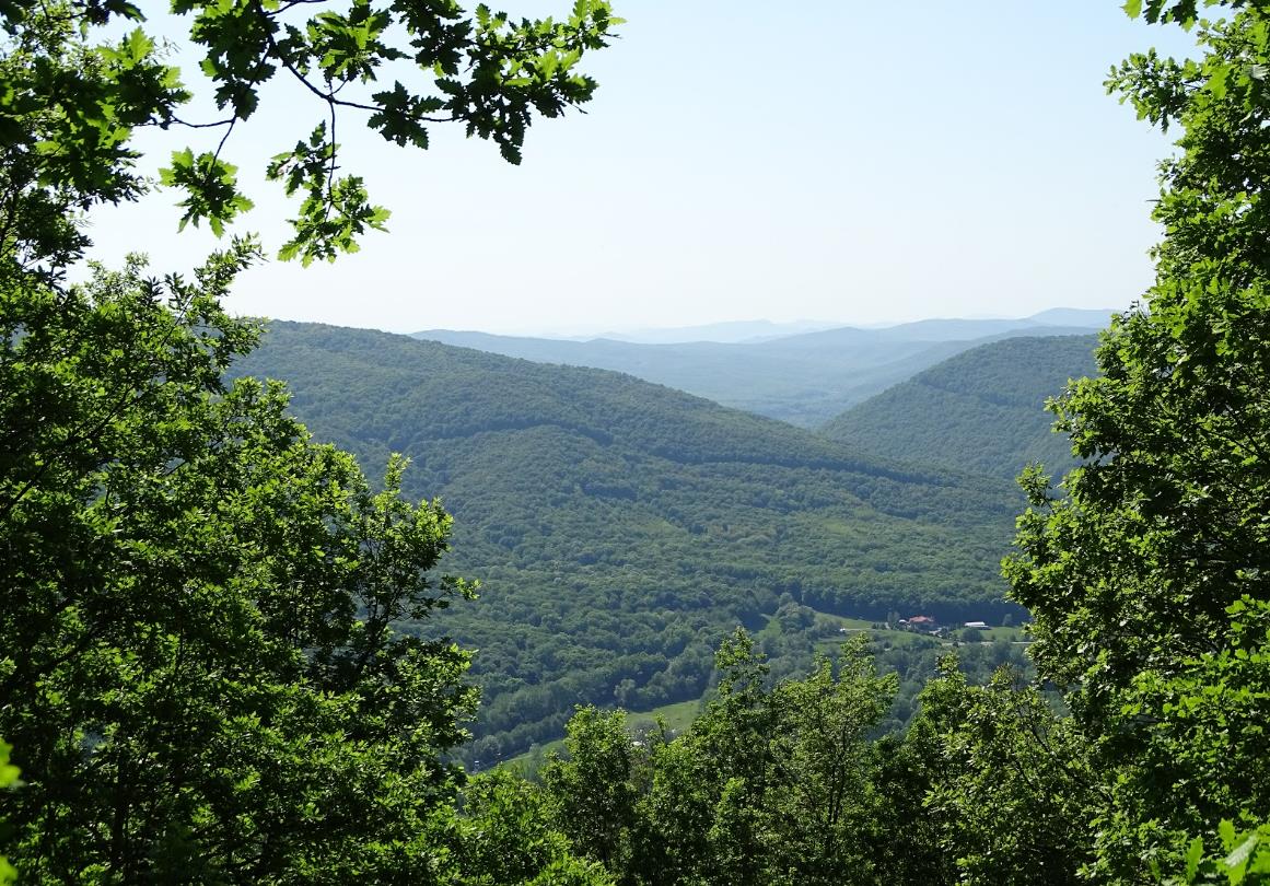 Фото №6: Земельный участок 8.34 сот. - Безымянное, ул. Таманская, 39