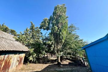 Фото №4: Дом 35 м² - Ивановская, ул. Таманская