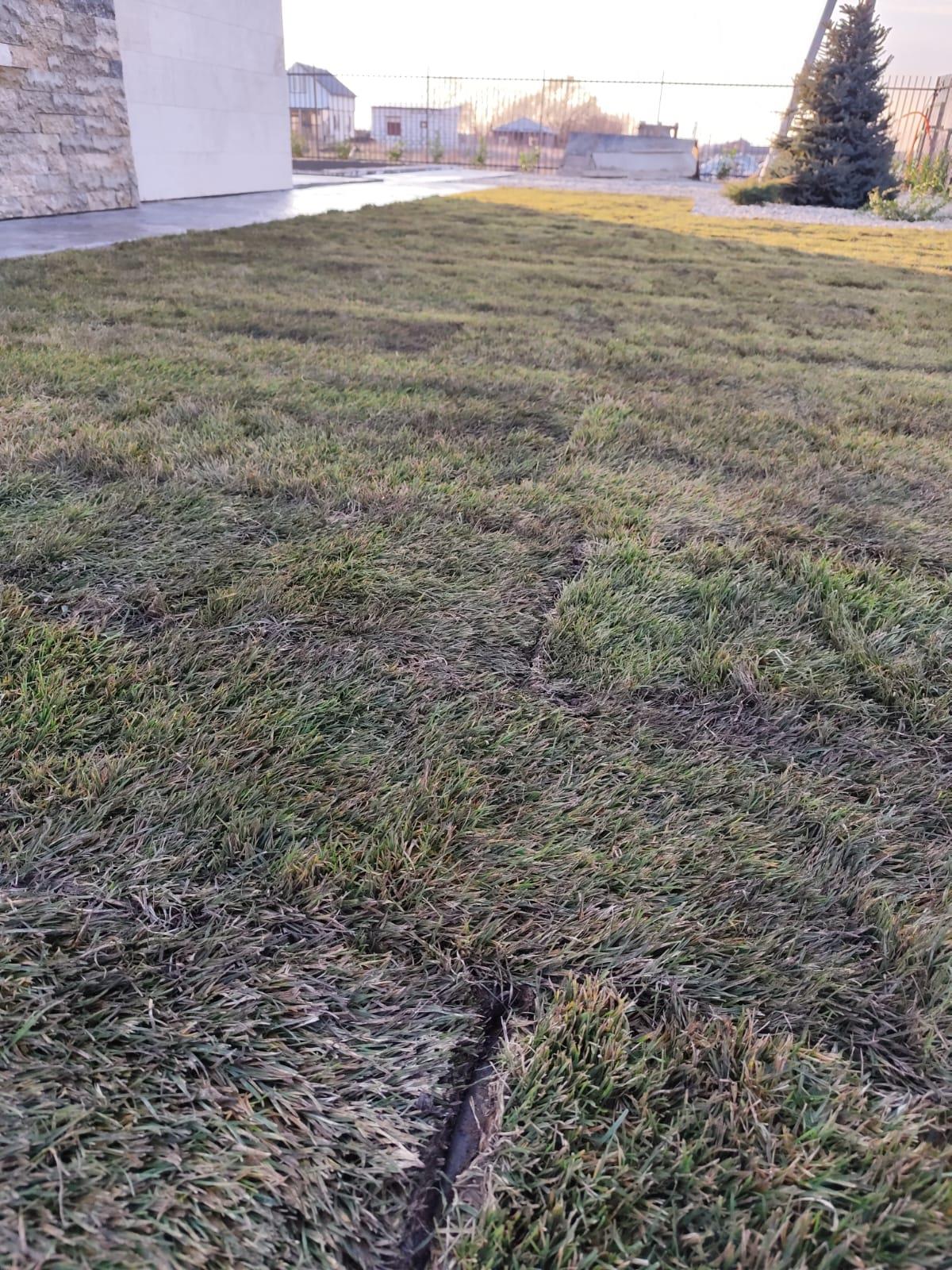 Фото №30: Дом 145 м² + 7.4 сот. - Новый, ул. Шоссейная