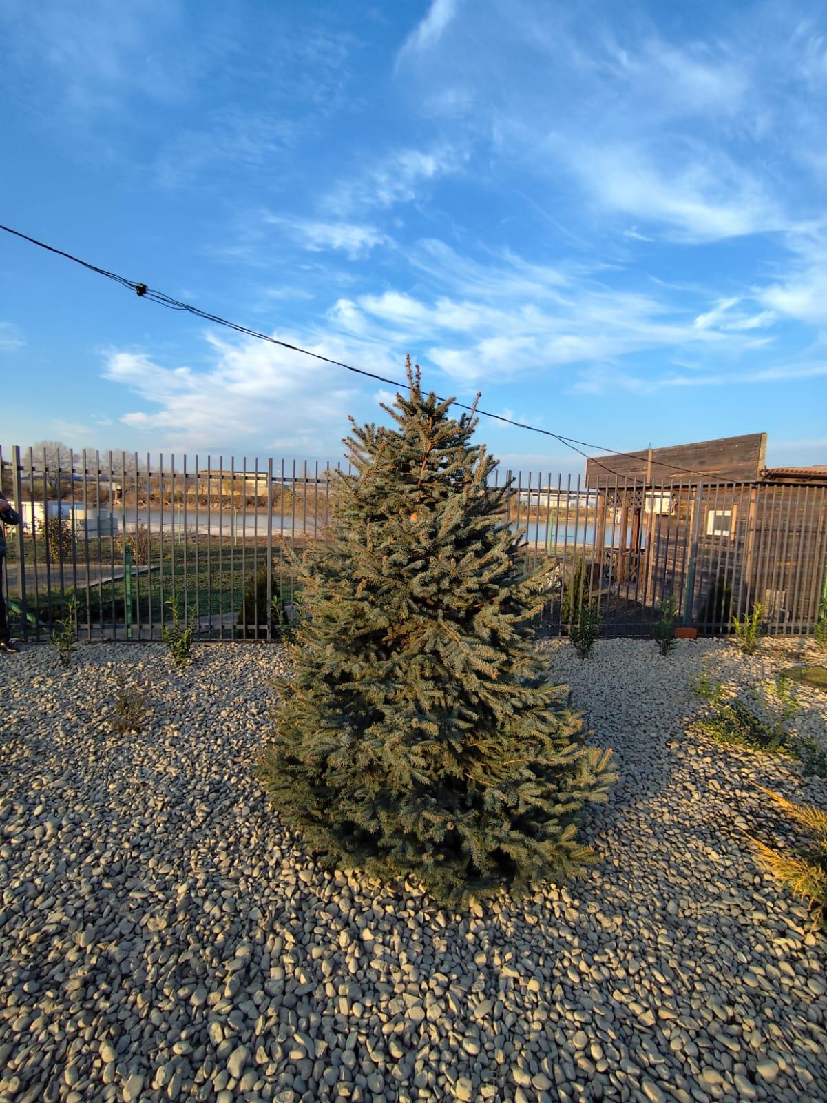 Фото №28: Дом 145 м² + 7.4 сот. - Новый, ул. Шоссейная