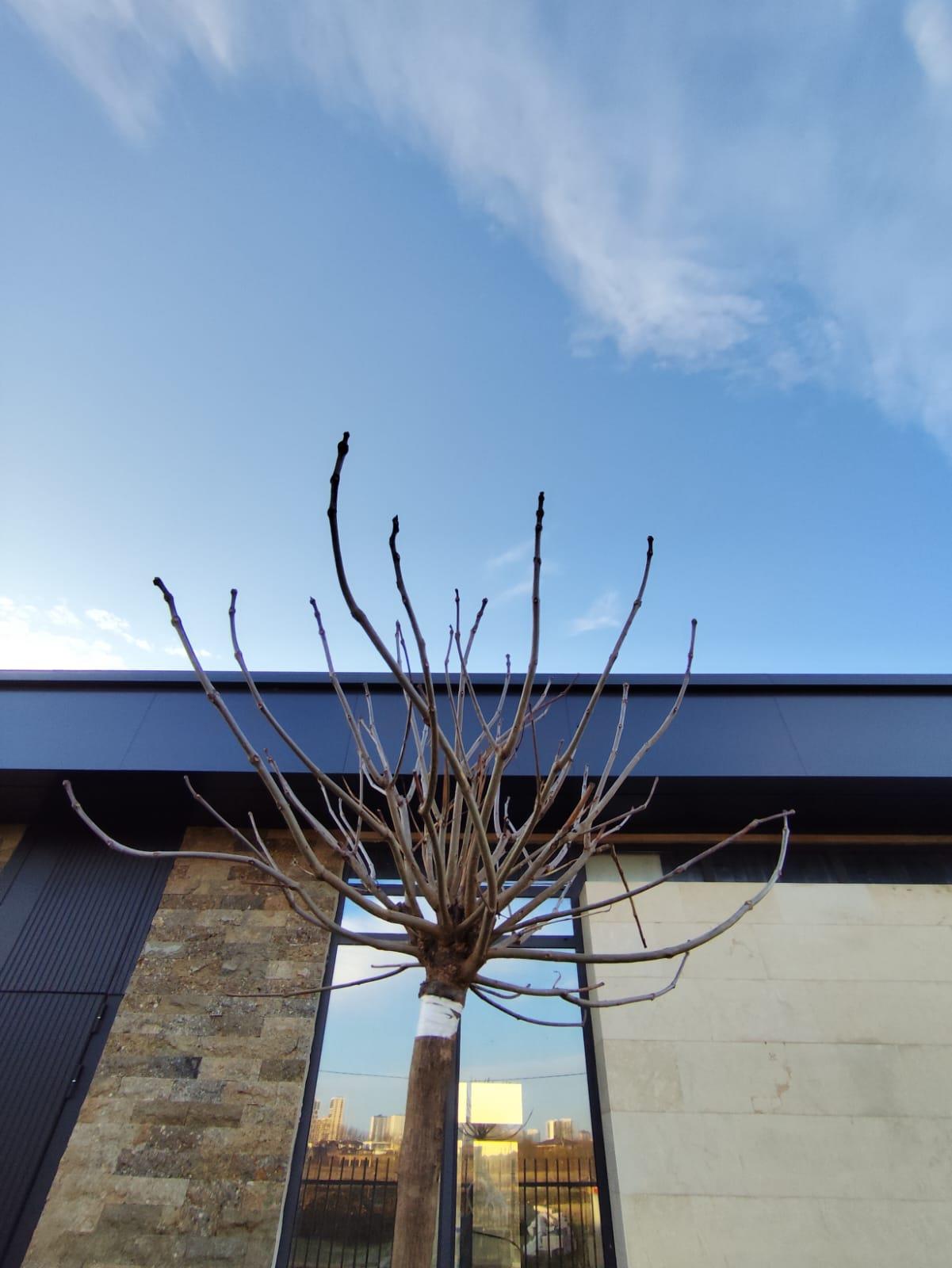 Фото №23: Дом 145 м² + 7.4 сот. - Новый, ул. Шоссейная