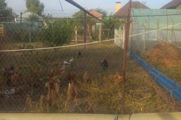Фото №2: Земельный участок под ИЖС 9.44 сот. - Елизаветинская, мкр. Прикубанский внутригородской округ, ул. Зелёная, 81