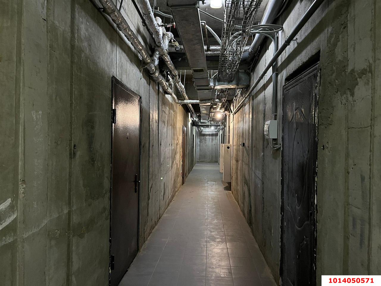 Фото №5: Торговое помещение 53 м² - Краснодар, Центральный, ул. Березанская, 89