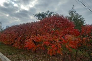 Фото №5: Дом 185 м² - Копанской, мкр. Прикубанский внутригородской округ, ул. Победы, 5