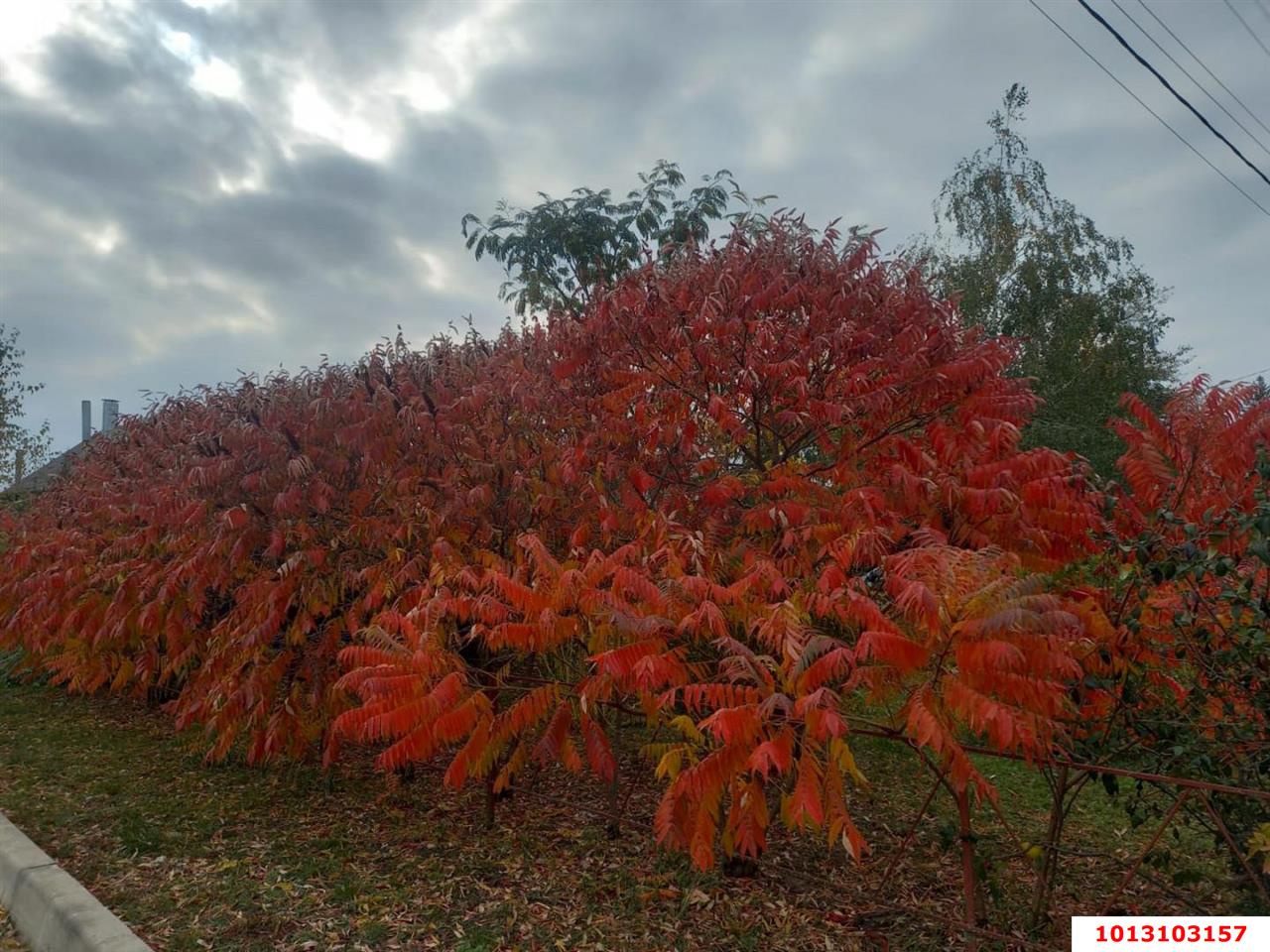 Фото №5: Дом 185 м² + 6 сот. - Копанской, Прикубанский внутригородской округ, ул. Победы, 5