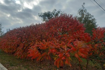 Фото №5: Дом 185 м² - Копанской, мкр. Прикубанский внутригородской округ, ул. Победы, 5