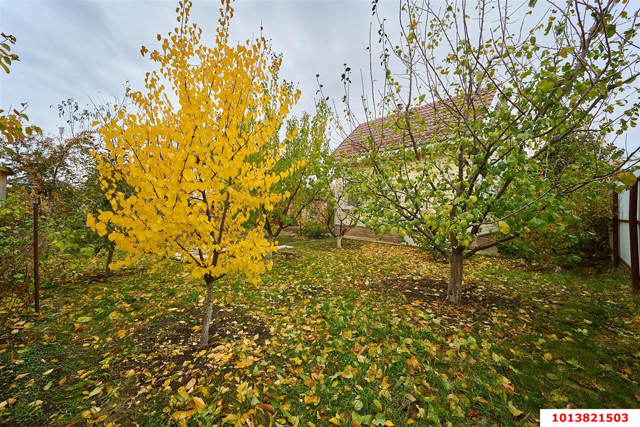 Фото №7: Дом 64 м² + 4 сот. - Краснодар, Прикубанский внутригородской округ, Сады Калинина, ст КНИИСХ, ул. 8-я Линия, 453