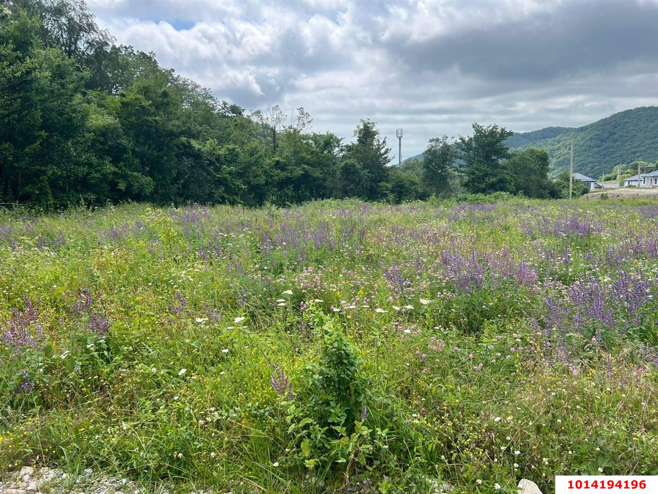 Фото №8: Земельный участок 4.72 сот. - Агой, ул. Школьная