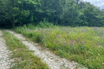 Фото №4: Участок садоводство 4.72 сот. - Агой, мкр. квартал Черёмушки, ул. Школьная, 4