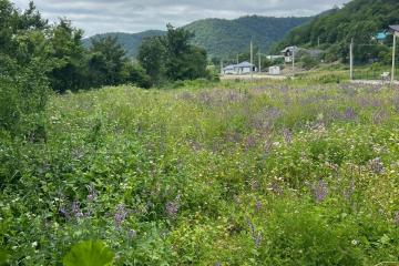 Фото №5: Земельный участок 4.72 сот. - Агой, мкр. квартал Черёмушки, ул. Школьная, 4