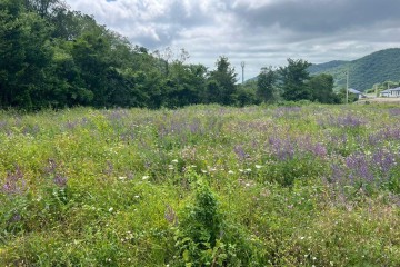 Фото №5: Участок садоводство 4.72 сот. - Агой, мкр. квартал Черёмушки, ул. Школьная, 4