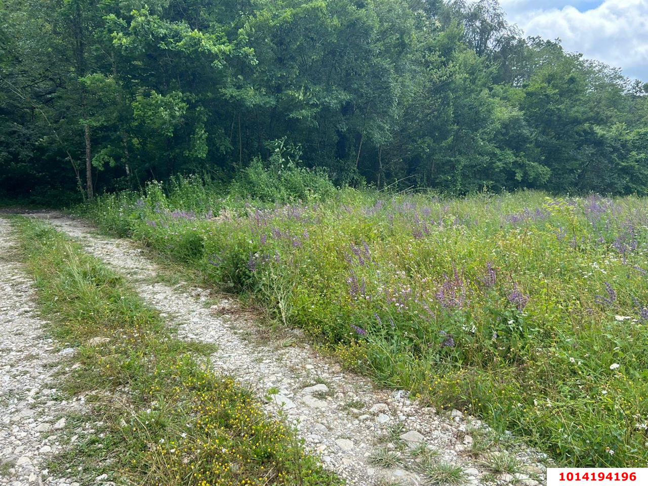 Фото №6: Земельный участок 4.72 сот. - Агой, ул. Школьная