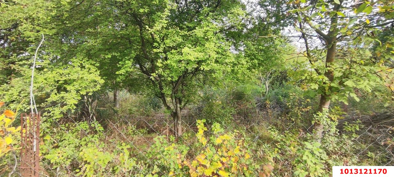 Фото №3: Земельный участок 6 сот. - Южная Кубань, ул. Цветочная, 438