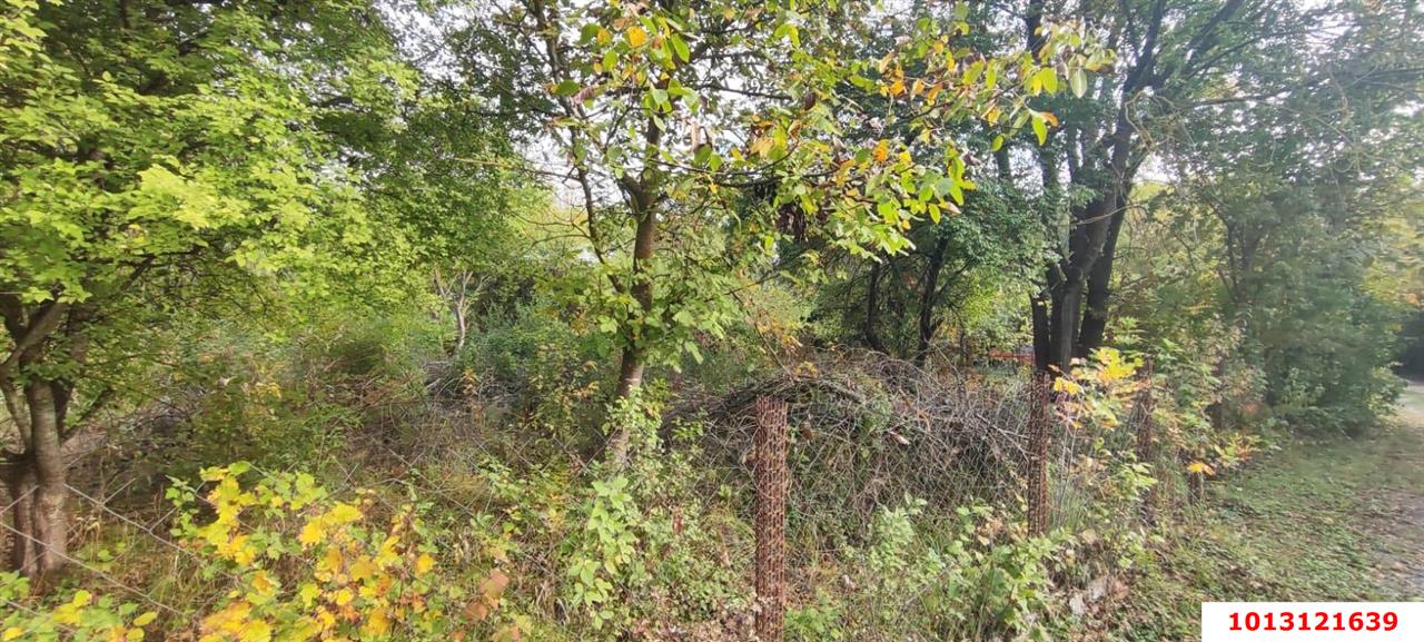 Фото №9: Участок садоводство 6 сот. - Южная Кубань, Карасунский внутригородской округ, ул. Цветочная, 438