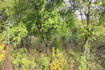 Фото №4: Земельный участок 6 сот. - Южная Кубань, мкр. Карасунский внутригородской округ, ул. Цветочная, 438