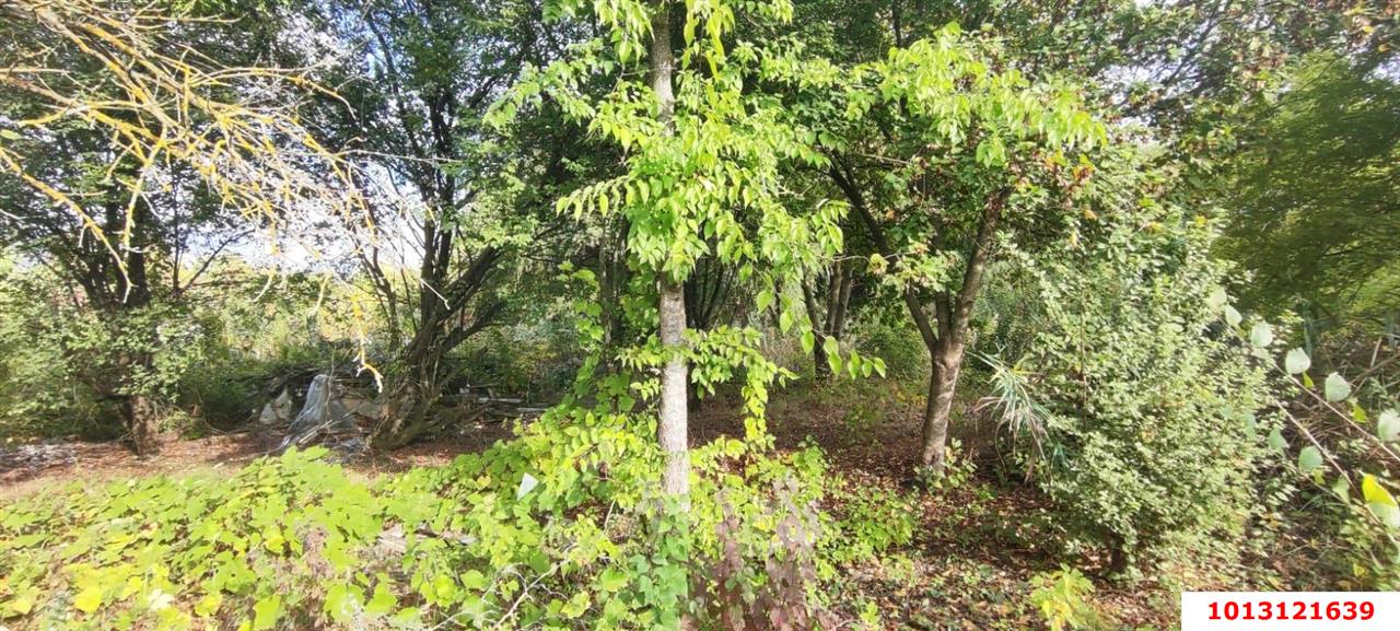 Фото №12: Участок садоводство 6 сот. - Южная Кубань, Карасунский внутригородской округ, ул. Цветочная, 438