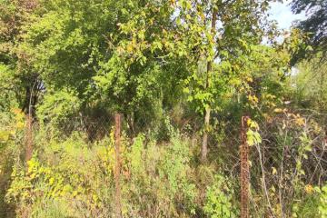 Фото №3: Земельный участок 6 сот. - Южная Кубань, мкр. Карасунский внутригородской округ, ул. Цветочная, 438