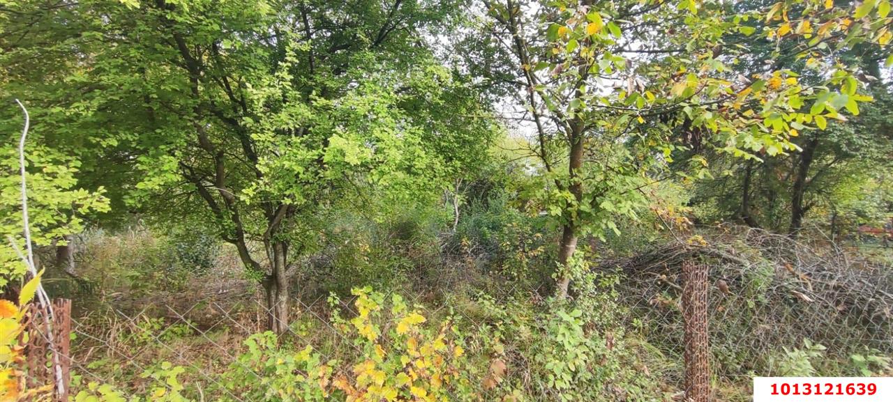 Фото №10: Личное подсобное хозяйство - Южная Кубань, ул. Цветочная, 438